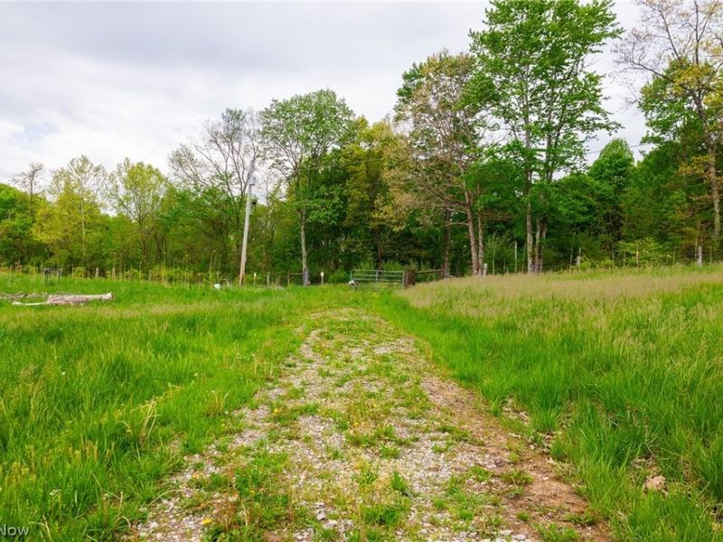 37795 Sheep Skin Ridge , Lower Salem, OH 45745 Photo 7