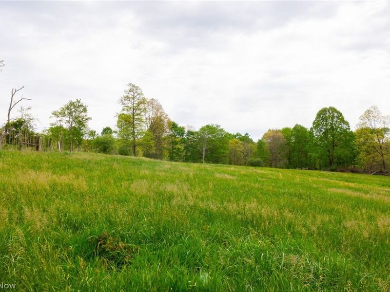 37795 Sheep Skin Ridge, Lower Salem, OH 45745 Photo 9