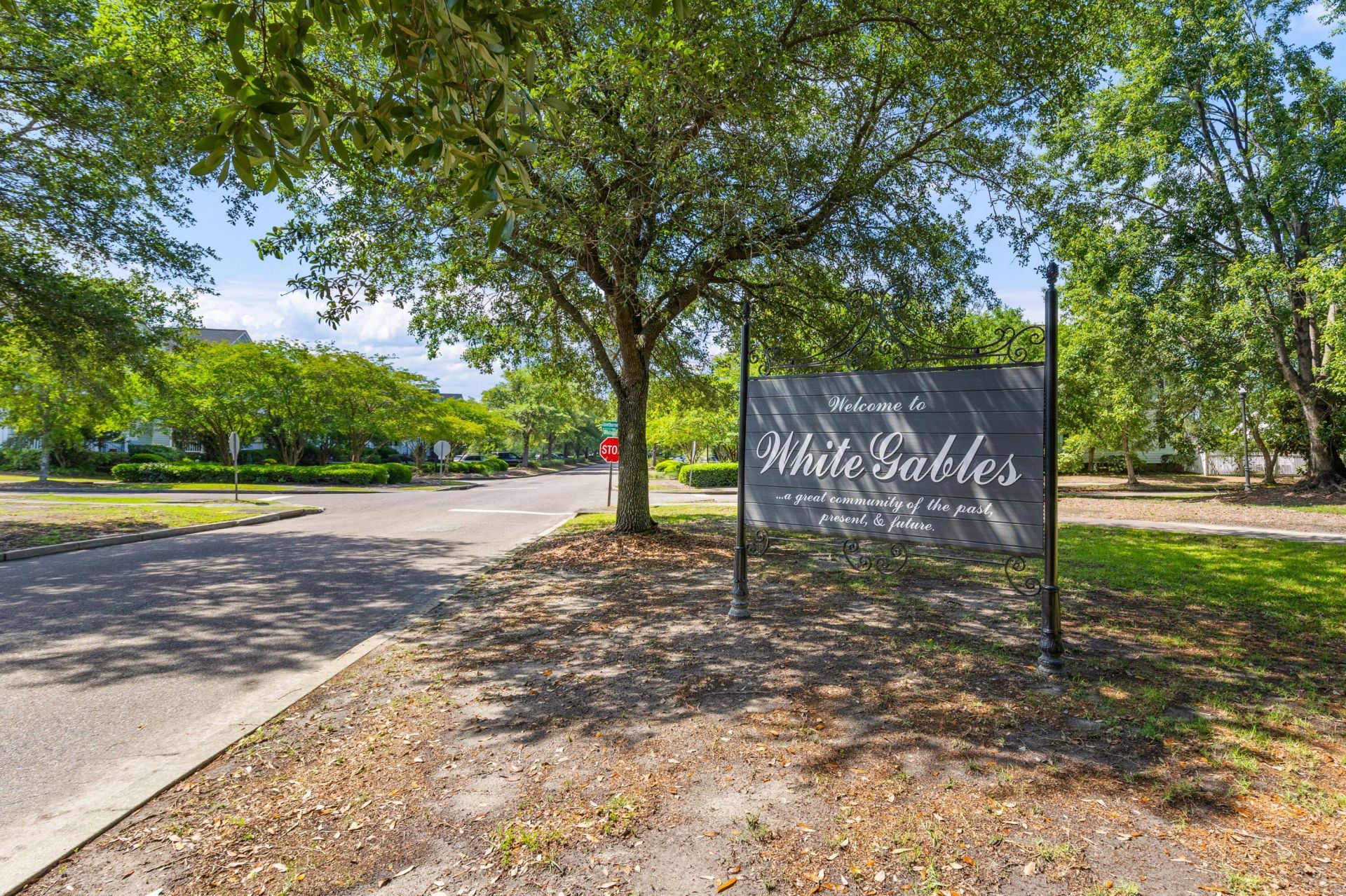 220 Crossandra Avenue Photo 45