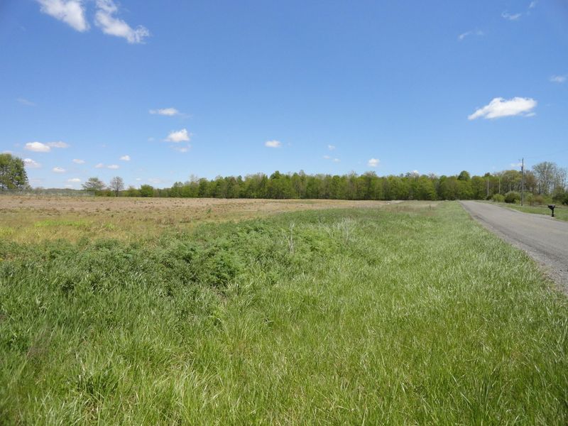 0 County Road 290, Unit Lot DD, Bellefontaine, OH 43311 Photo 4
