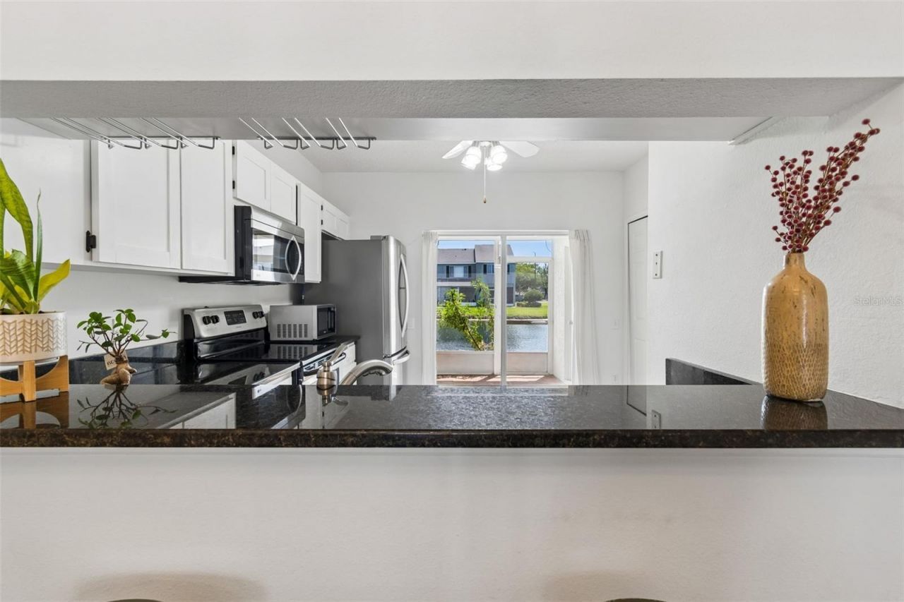 382 Countryside Key Boulevard , Oldsmar, FL 34677 Photo