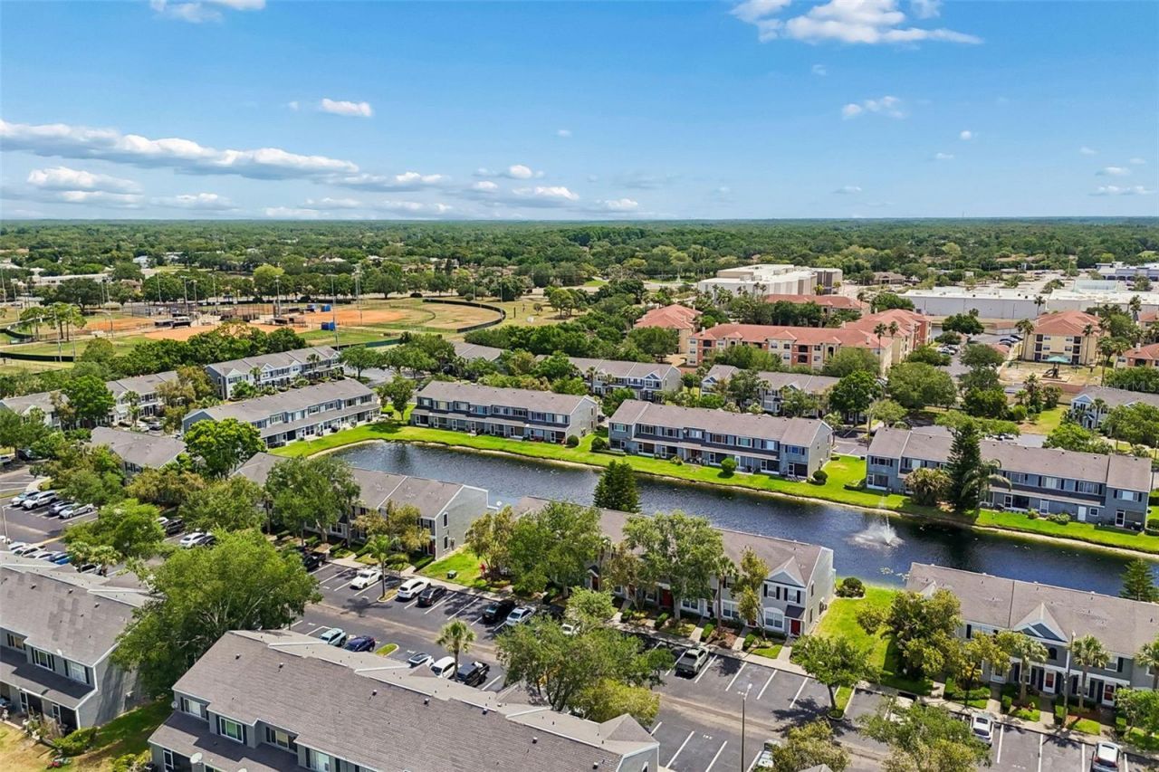 382 Countryside Key Boulevard , Oldsmar, FL 34677 Photo