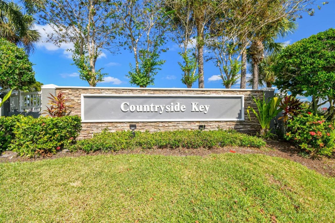 382 Countryside Key Boulevard , Oldsmar, FL 34677 Photo