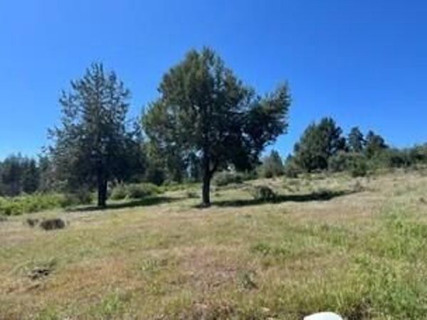 0 Crossbill Drive, Unit Lot 1046, Klamath Falls, OR 97601