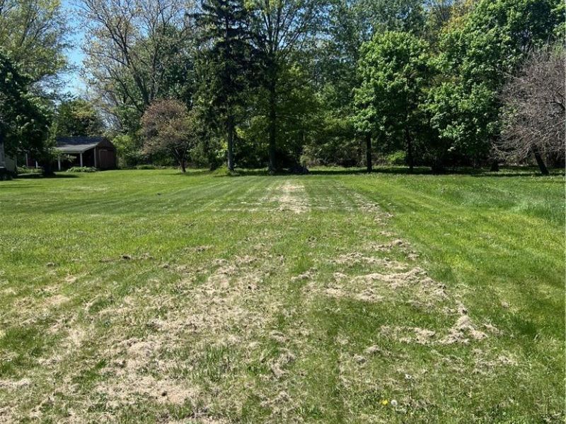 345 Park Road, Painesville, OH 44077 Photo 1