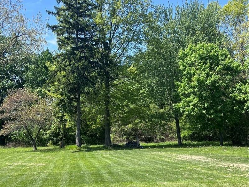 345 Park Road, Painesville, OH 44077 Photo 4