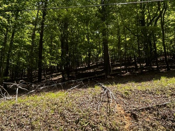381 Hillside Drive, Waleska, GA 30183