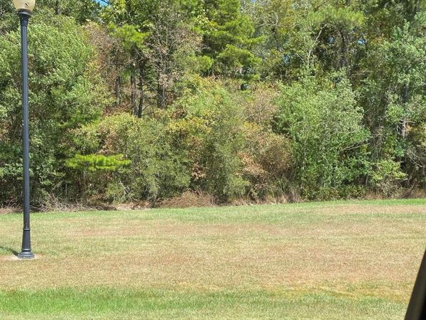 Lot 41 Shelby Dr, Denham Springs, LA 70706