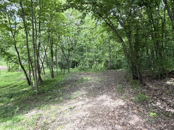 316 Wiley Town Rd , Newport, TN 37821