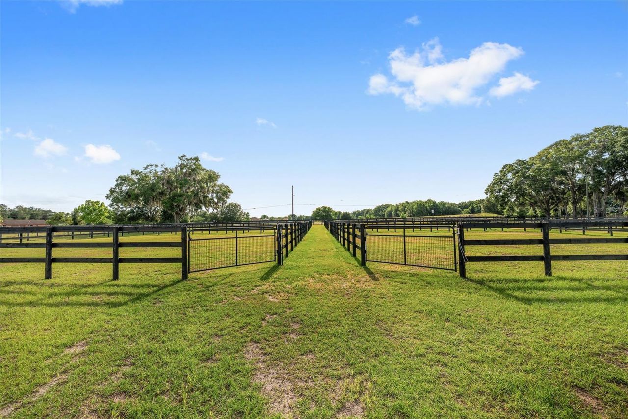 663 NW 80th Avenue, Ocala, FL 34482 Photo
