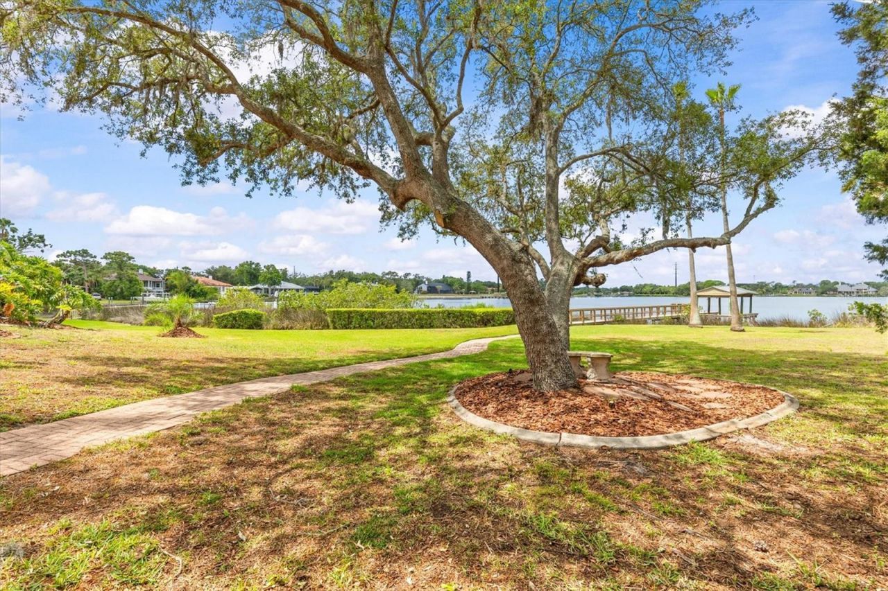 948 Riverside Ridge Road , Tarpon Springs, FL 34688 Photo