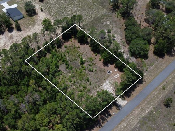 17950 SE 60TH LANE , MORRISTON, FL 32668