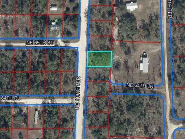tbd NE 119TH TERRACE , WILLISTON, FL 32696