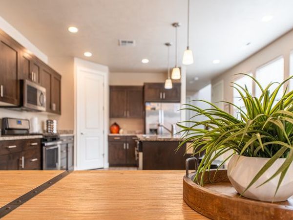 3800 PARADISE VILLAGE DR , Unit 58, Santa Clara, UT 84765