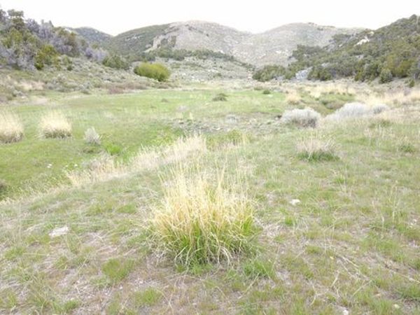 N CLEAR SPRINGS RD. , Park Valley, UT 84329
