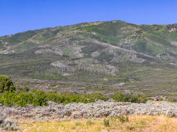 2120 LITTLE VALLEY RD , Wallsburg, UT 84082