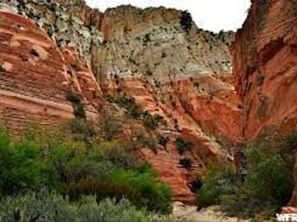2 CARUSO LN , Unit 2, Orderville, UT 84758