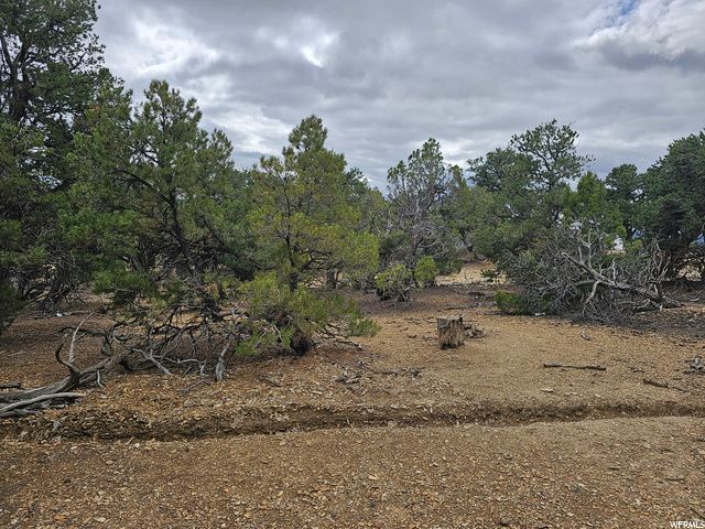 0 , Lot #6, Fruitland, UT 84027 Main Photo