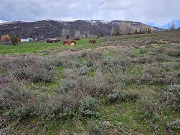 Unit 374, Huntsville, UT 84317
