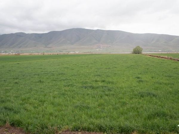6900 S 4400 W, Benjamin, UT 84660