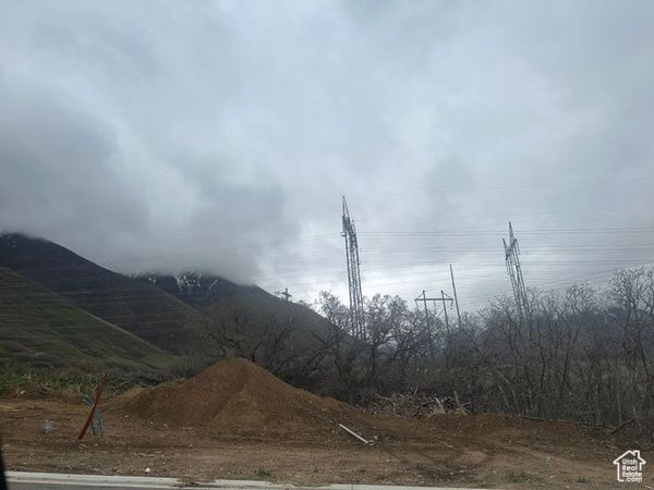 249 E MAPLETON ESTATES DR S, Unit 91, Mapleton, UT 84664