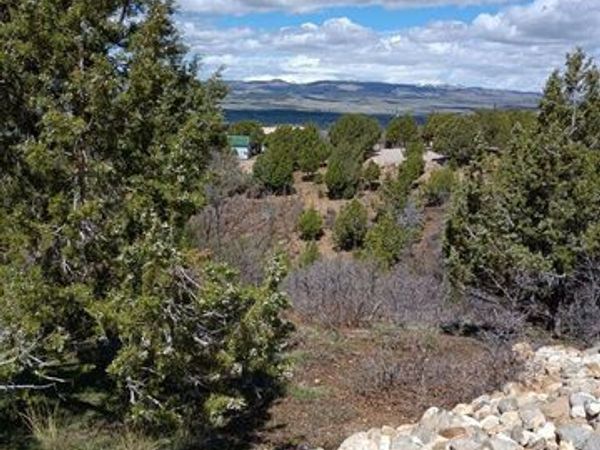 12665 CEDAR RIDGE DR , Unit C39, Fairview, UT 84629