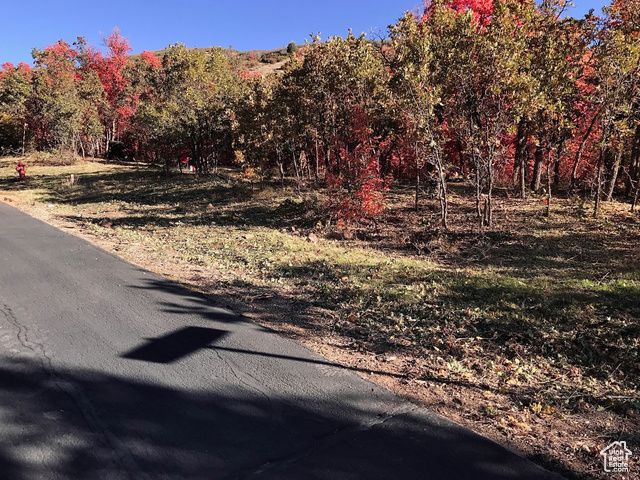121 N Oakwood Cir , Lot #31, Springville, UT 84663 Main Photo