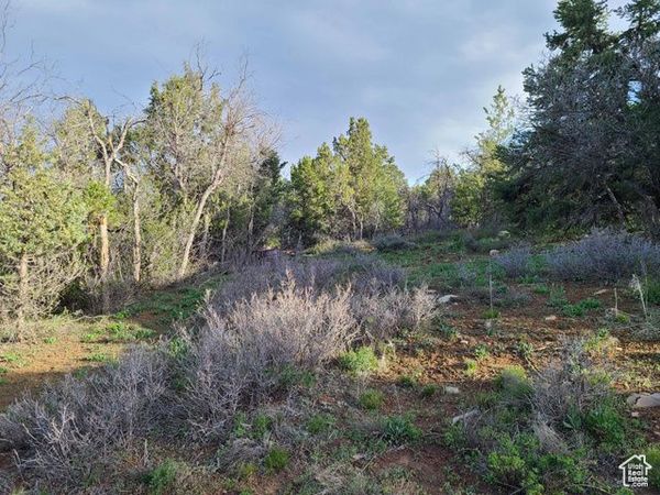 36250 N 10750 E, Indianola, UT 84629