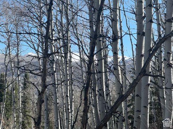 662 RED FIR WAY , Unit 662, Oakley, UT 84055