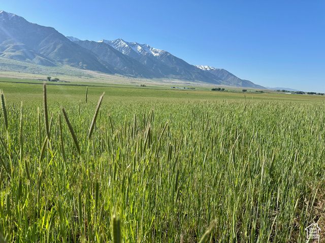 Please Call For Address, Mona, UT 84645 Main Photo