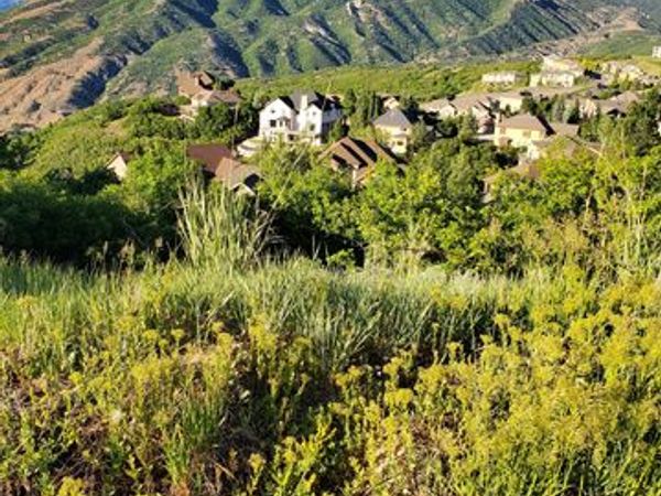 14849 S SADDLE LEAF CT , Draper, UT 84020