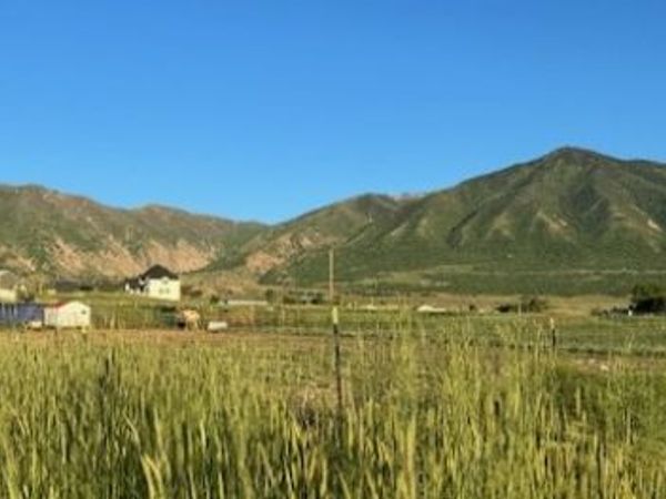 2068 E DUN DR S, Pine Canyon, UT 84074