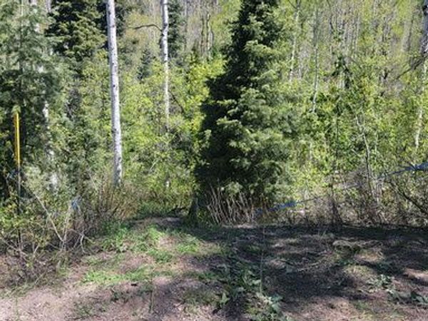 819 NORTH FORK RD , Unit 819, Mt Pleasant, UT 84629
