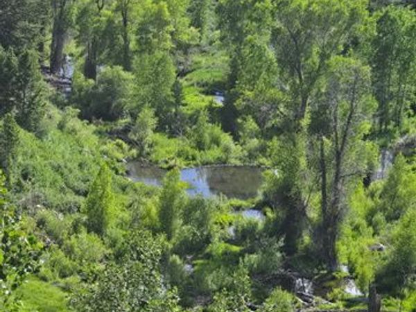 6621 N MIDDLE FORK DR , Unit 89, Huntsville, UT 84317