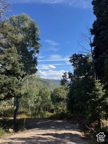 23215 N Deer Valley Dr , Lot #K68, Fairview, UT 84629 Main Photo