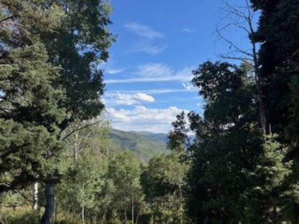 23215 N DEER VALLEY DR , Unit K68, Fairview, UT 84629