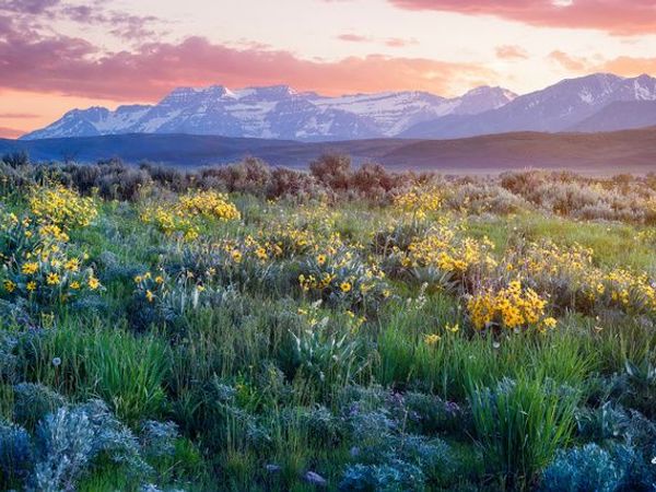 1115 E HOYT PEAK RANCH RD , Unit 4, Marion, UT 84036