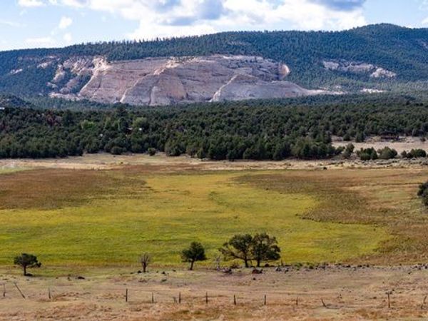 251 W HIGHWAY 12 ST S, Grover, UT 84773