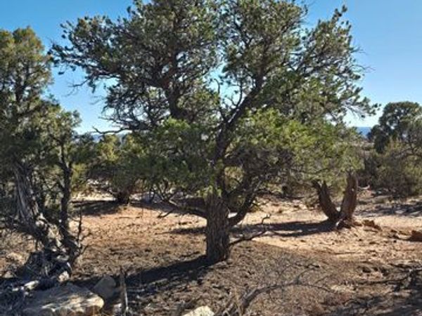 Unit 11-D, Duchesne, UT 84021