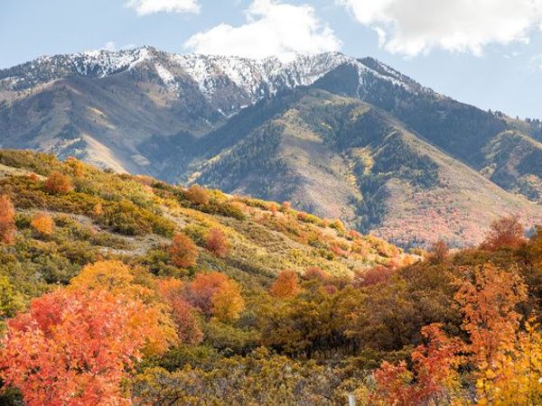 1043 S SUMMIT DR , Unit 142, Woodland Hills, UT 84653