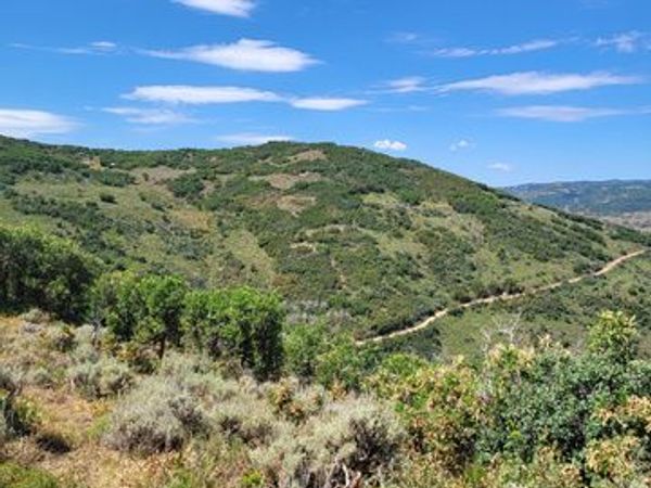 Unit 161, Echo, UT 84024