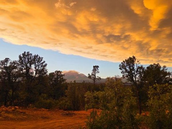 95 S WRAY MESA RD , Unit 10, La Sal, UT 84530