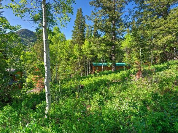 9428 E ELK HAVEN RD , Unit 217, Brighton, UT 84121