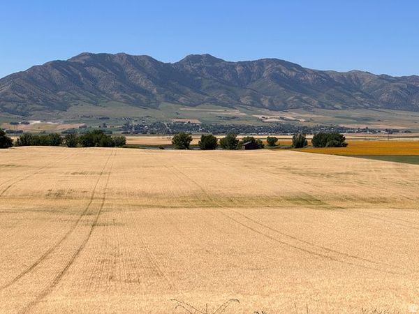 Trenton, UT 84338