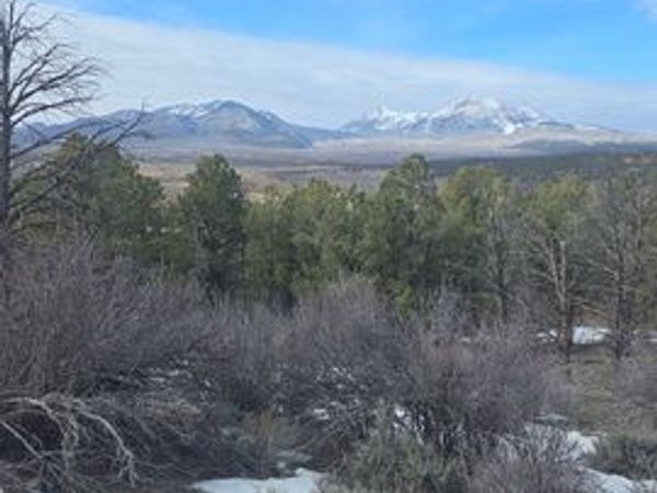 60 S WRAY MESA RD , Unit 2, La Sal, UT 84530