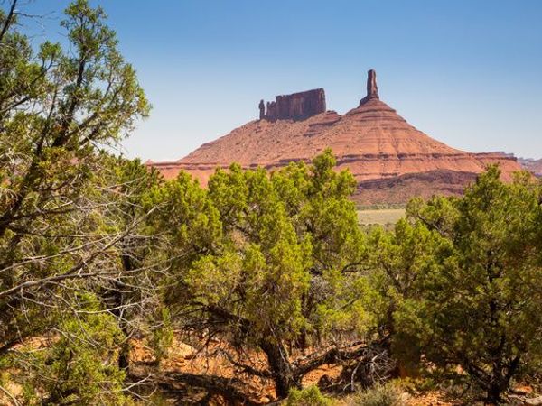 343 TAYLOR LN , Unit 343, Castle Valley, UT 84532