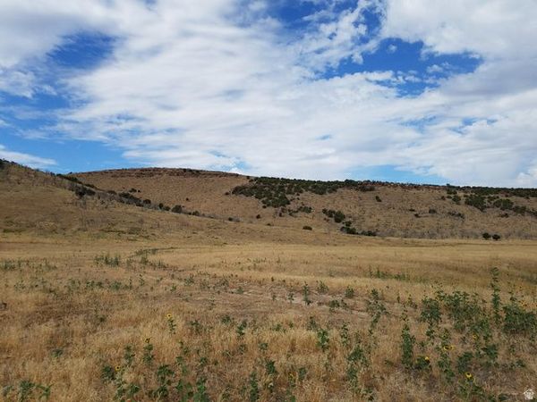 Vernon, UT 84080