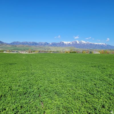 377 E 8900 S, Paradise, UT 84328 Main Photo