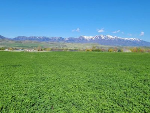 377 E 8900 S, Paradise, UT 84328
