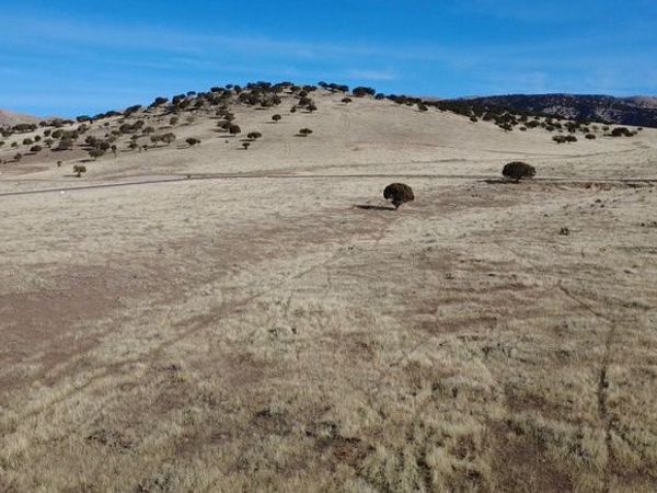 22275 N 2500 E, Unit 24, Fountain Green, UT 84632